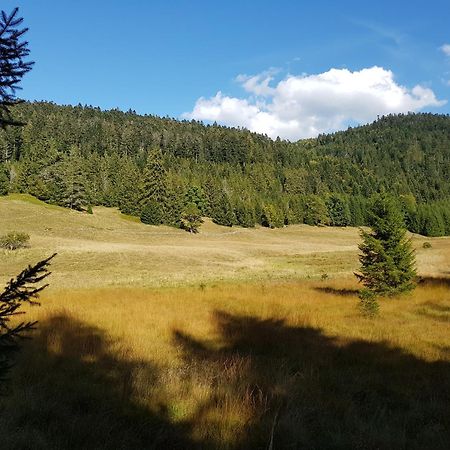Chalet Biazot Xonrupt-Longemer Zewnętrze zdjęcie