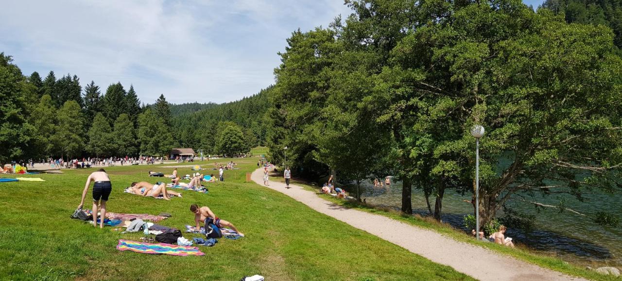 Chalet Biazot Xonrupt-Longemer Zewnętrze zdjęcie