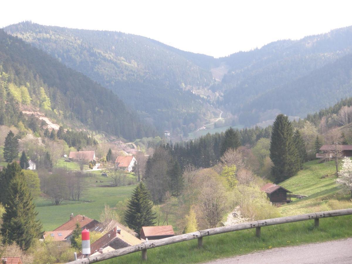 Chalet Biazot Xonrupt-Longemer Zewnętrze zdjęcie
