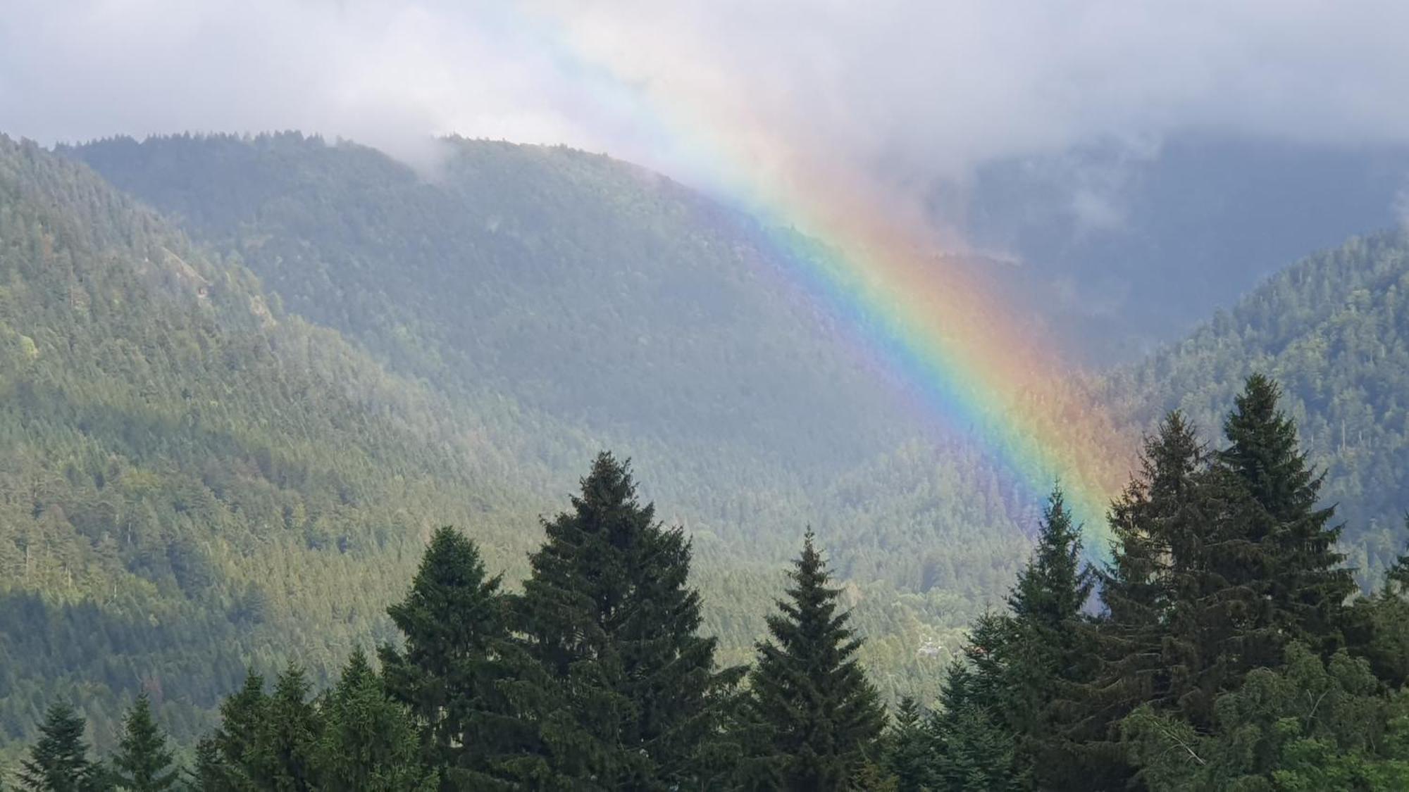 Chalet Biazot Xonrupt-Longemer Zewnętrze zdjęcie
